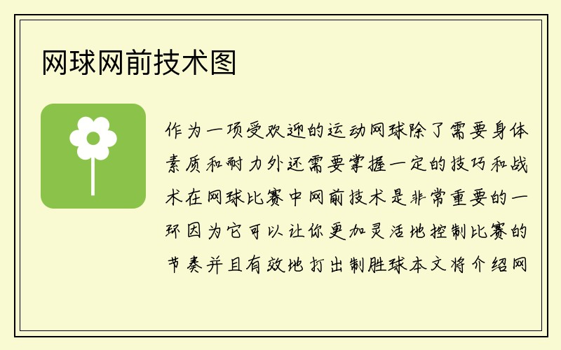 网球网前技术图