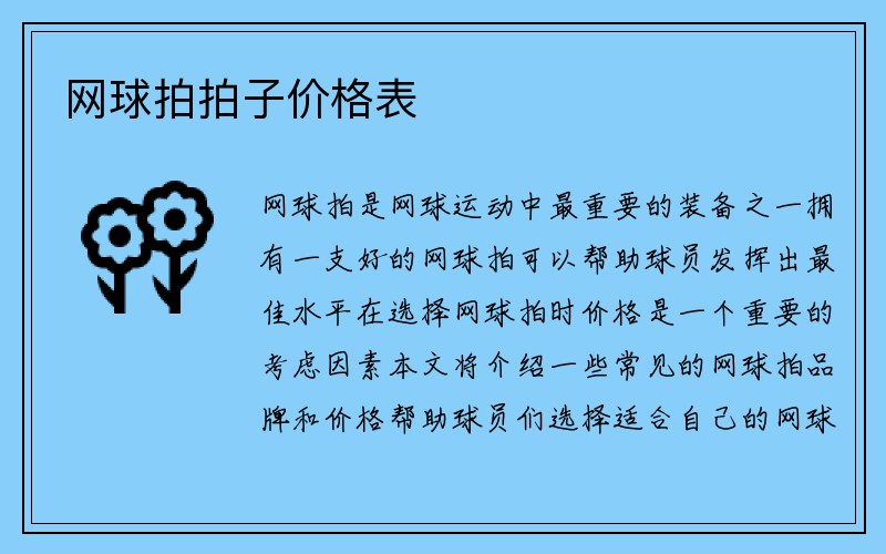 网球拍拍子价格表